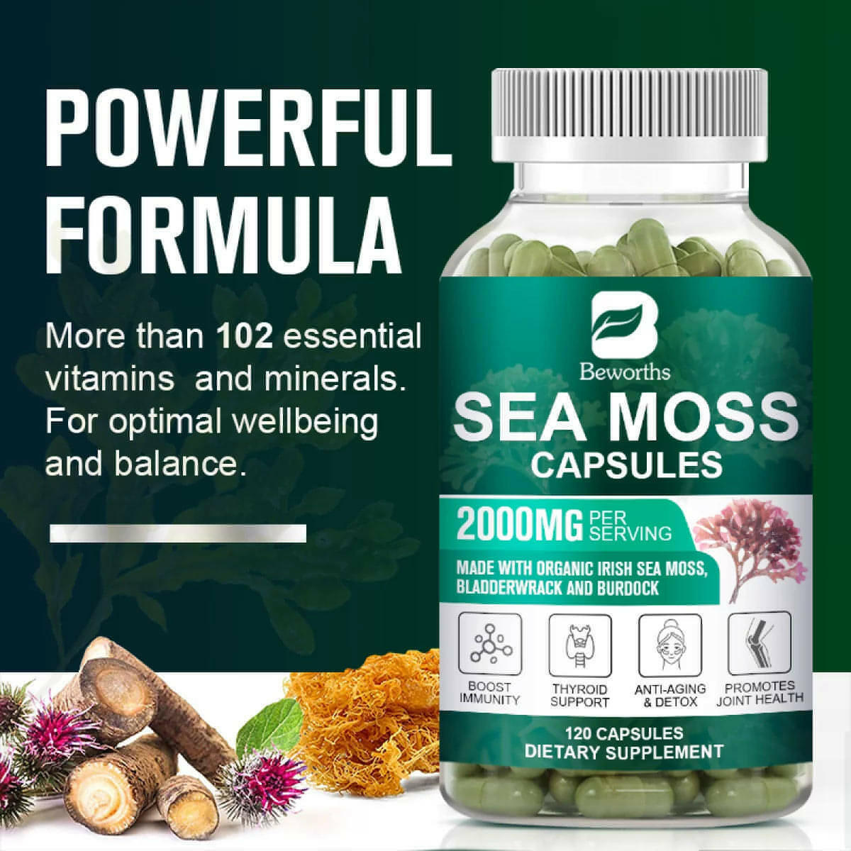 Organic Sea Moss Capsules 2000Mg with Burdockroot, for Immune Boost, Skin & Joint Health, Gut Cleanse & Thyroid Support - 120 Capsules